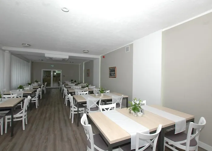 Znp Zg Nauczyciel אוסטראון